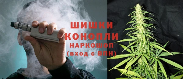 эйфоретик Горняк