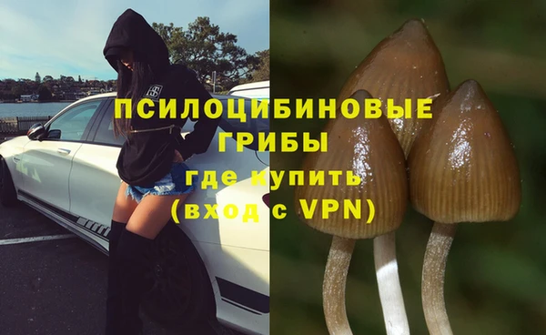 прущая мука Горнозаводск